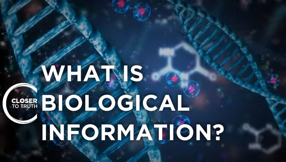 What is Biological Information?