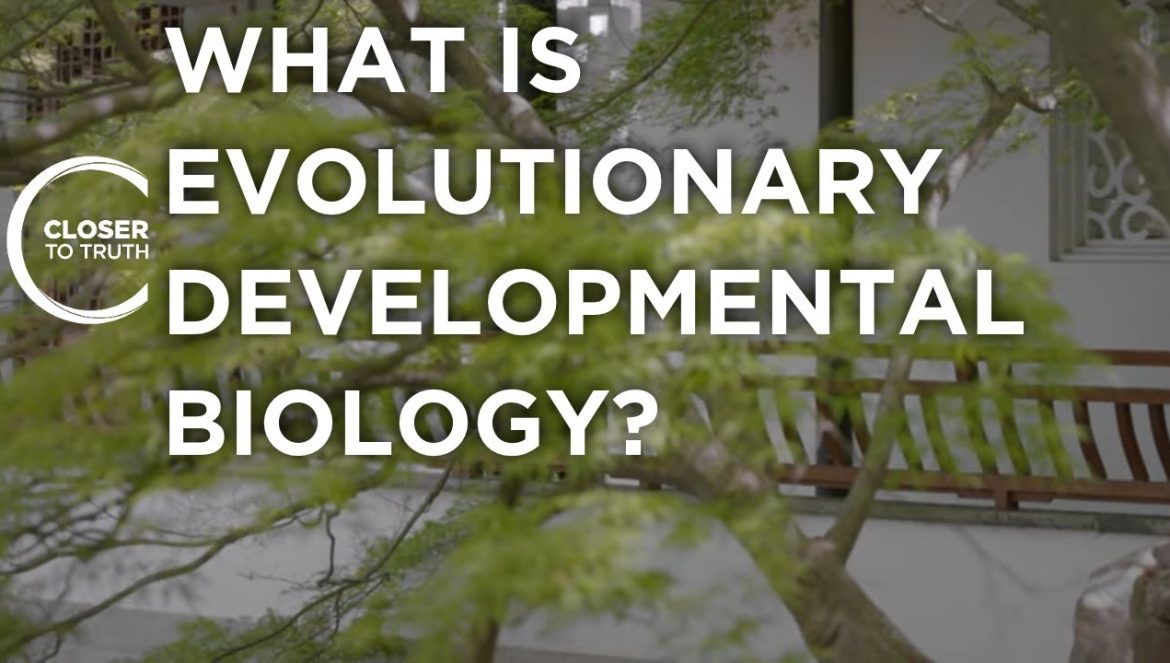 What is Evolutionary Developmental Biology? | Episode 2303 | 03-18-2024