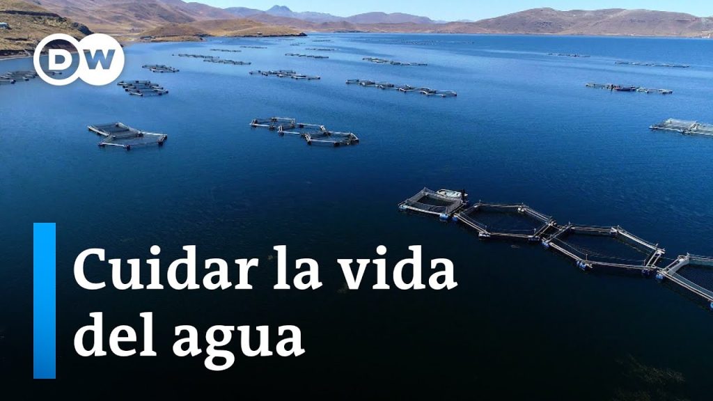 ¿Es sostenible y saludable comer pescado?…..04-11-2024