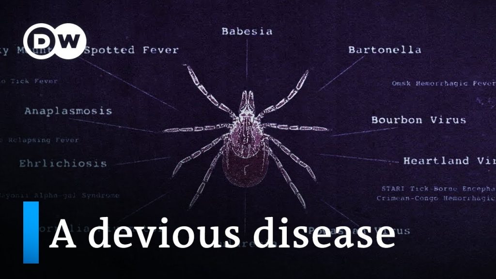 Lyme disease and the fight for recognition….04-07-2024