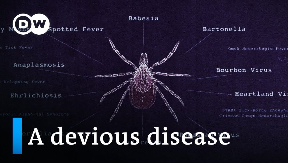 Lyme disease and the fight for recognition….04-07-2024