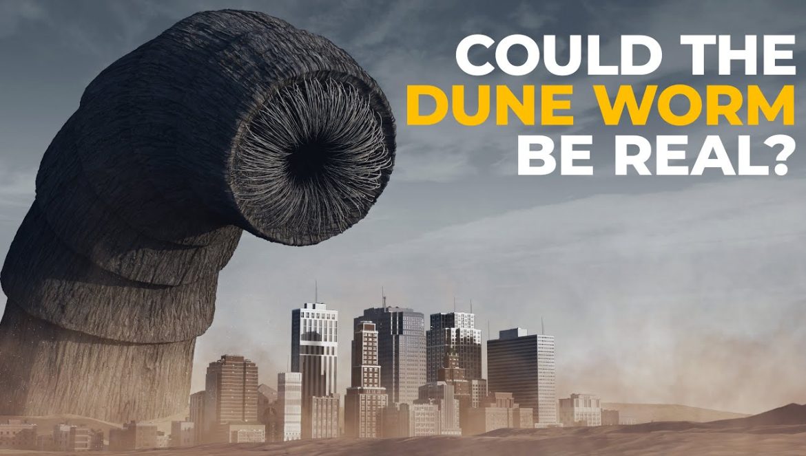 The Insane Biology of: The Dune Sandworm….04-03-204