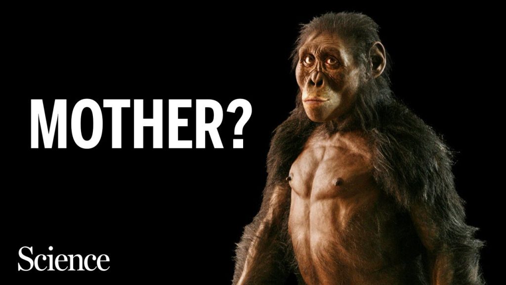 After 50 years, Lucy faces rivals with other human ancestors….05-28-2024