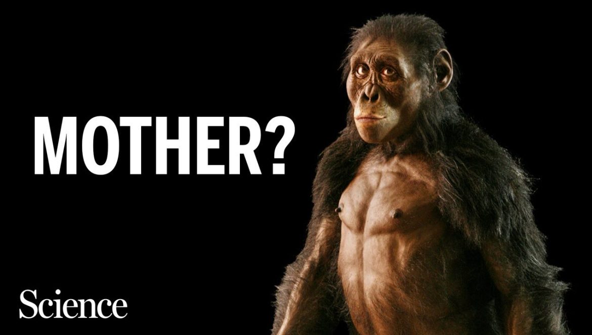 After 50 years, Lucy faces rivals with other human ancestors….05-28-2024