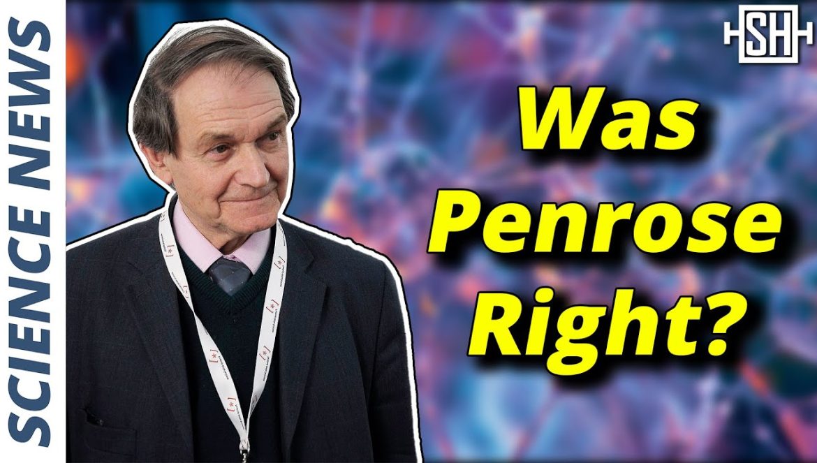 Brain Really Uses Quantum Effects, New Study Finds….05-12-2024