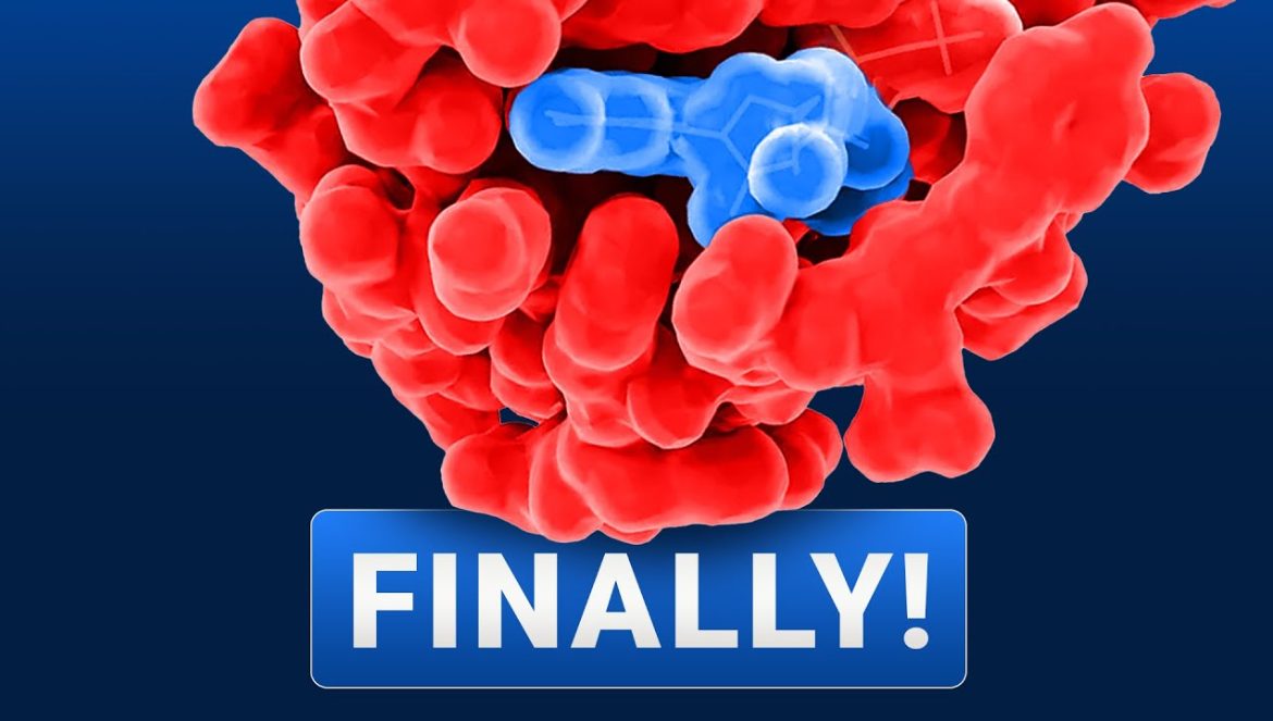 DeepMind AlphaFold 3 – This Will Change Everything….05-08-2024