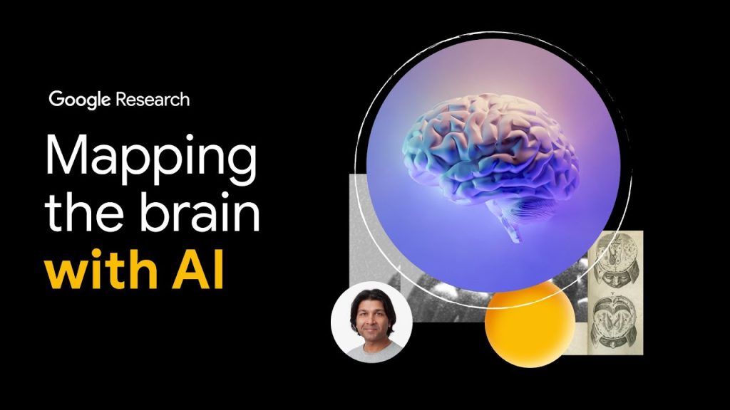 Mapping the Brain….05-09-2024