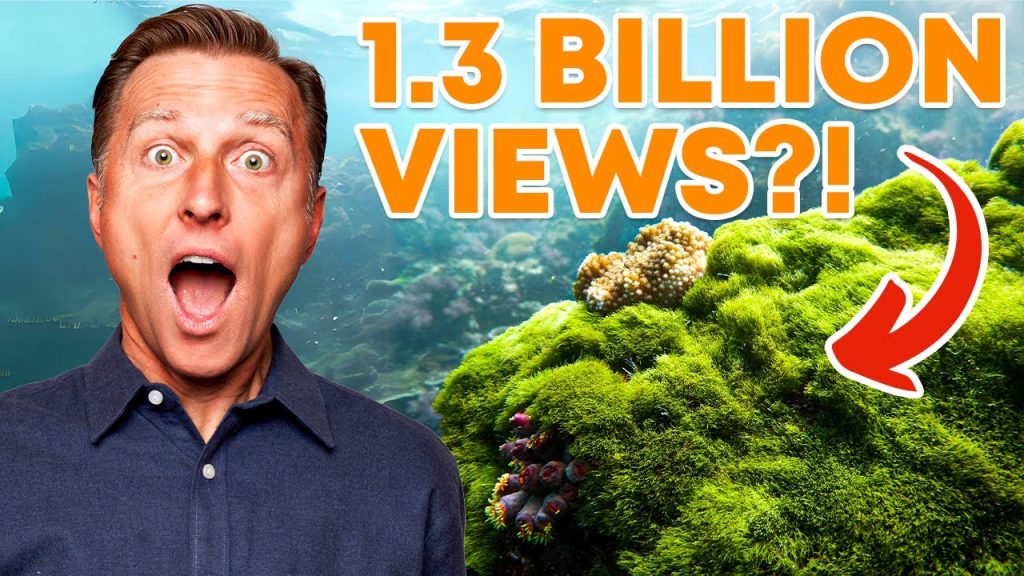 Why Sea Moss Is Going VIRAL….05-30-2024