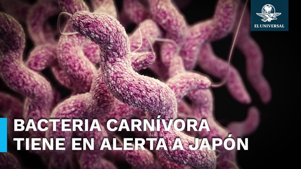 Aumentan casos de bacteria “carnívora” en Japón….06-19-2024