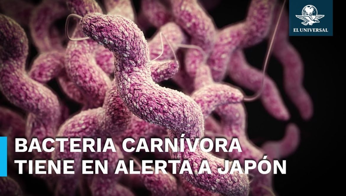 Aumentan casos de bacteria “carnívora” en Japón….06-19-2024