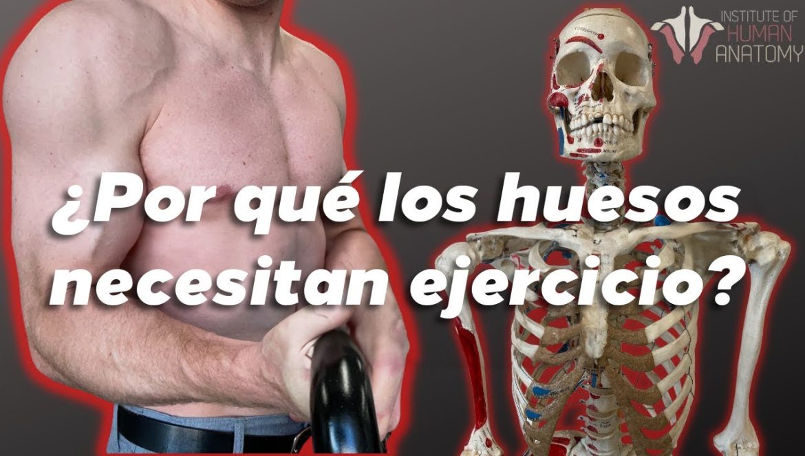 Cómo cambian tus HUESOS con el EJERCICIO….06-09-2024