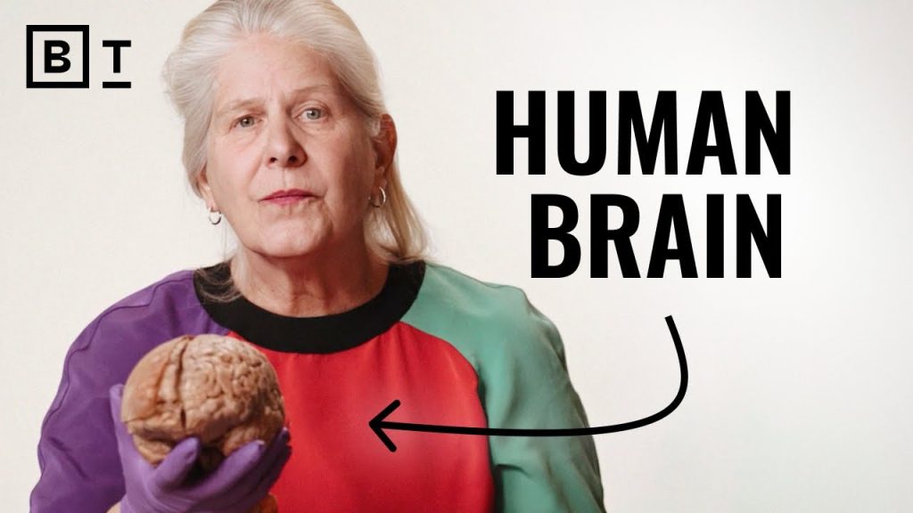 Expand your perception. Change your life | Dr. Jill Bolte Taylor….06-17-2024