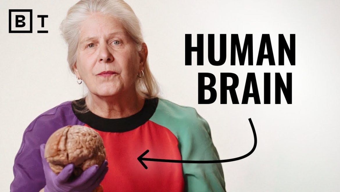 Expand your perception. Change your life | Dr. Jill Bolte Taylor….06-17-2024