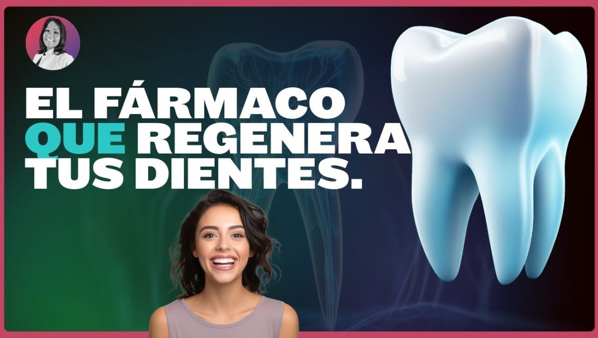 Dental Documentales | Descubre el Fármaco Japonés que Regenera Dientes Perdido….06-07-2024
