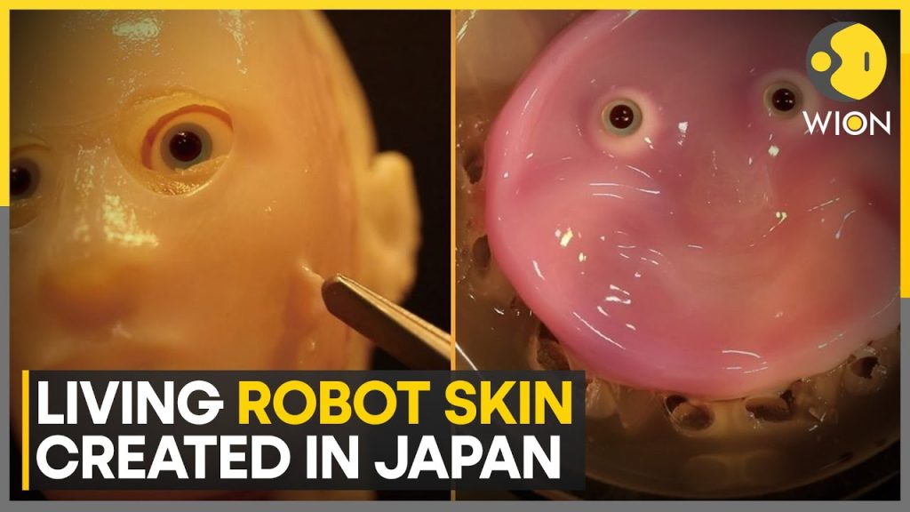 Japanese scientists create living robot skin with human cells | 06-26-2024