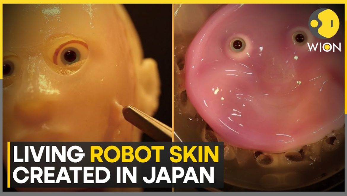 Japanese scientists create living robot skin with human cells | 06-26-2024