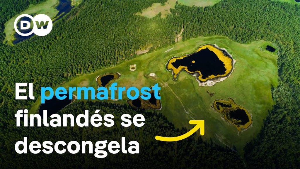 Pantanos que se derriten – ¿Cómo puede la naturaleza frenar el cambio climático? 07-03-2024