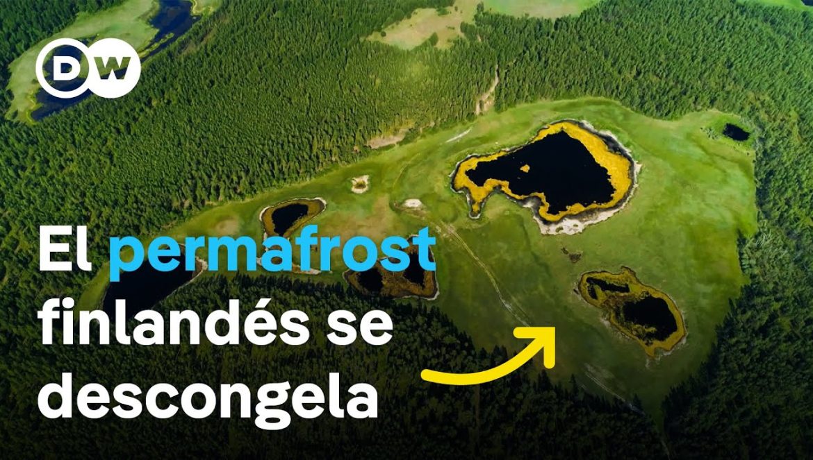 Pantanos que se derriten – ¿Cómo puede la naturaleza frenar el cambio climático? 07-03-2024