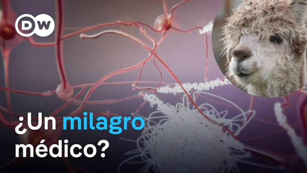 ¿Se curan dolencias graves con nanocuerpos de camélido? 06-28-2024