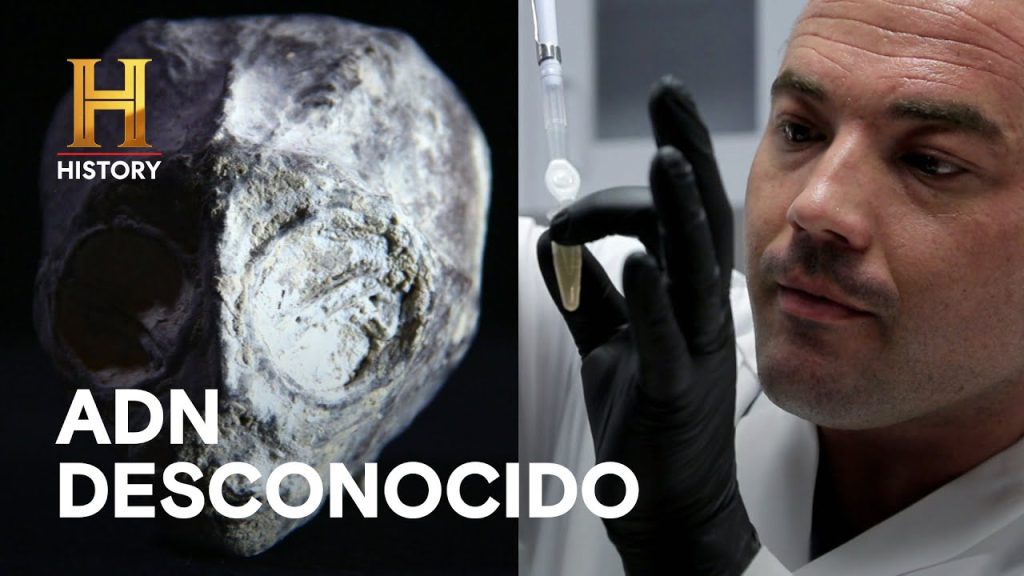 EL ADN DE LAS MOMIAS DE NAZCA – LAS MOMIAS DE NAZCA….08-04-2024