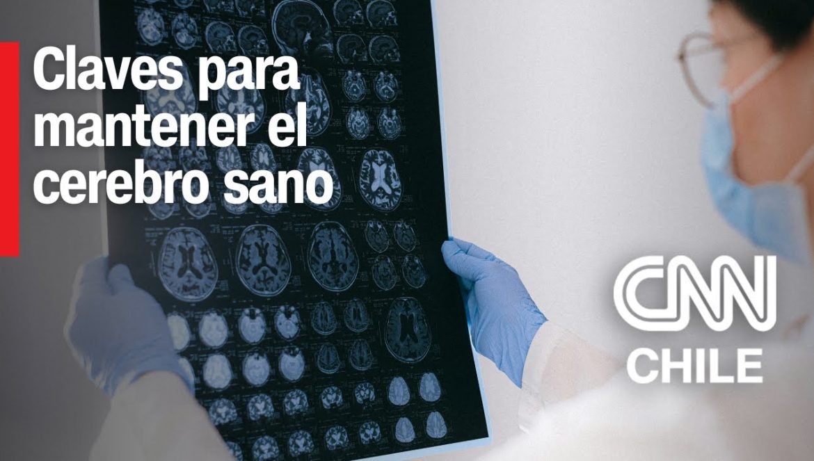 Neurólogo entrega recomendaciones: ¿Cómo cuidar la salud cerebral?….08-05-2024