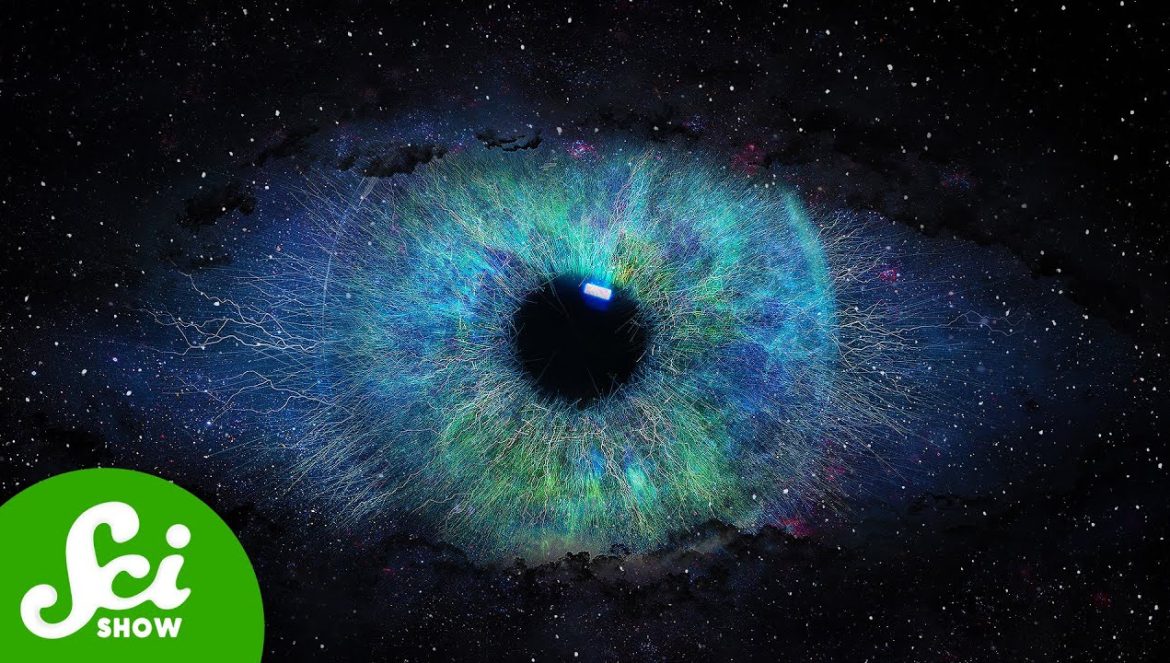 The Universe Has a Memory….09-03-2024