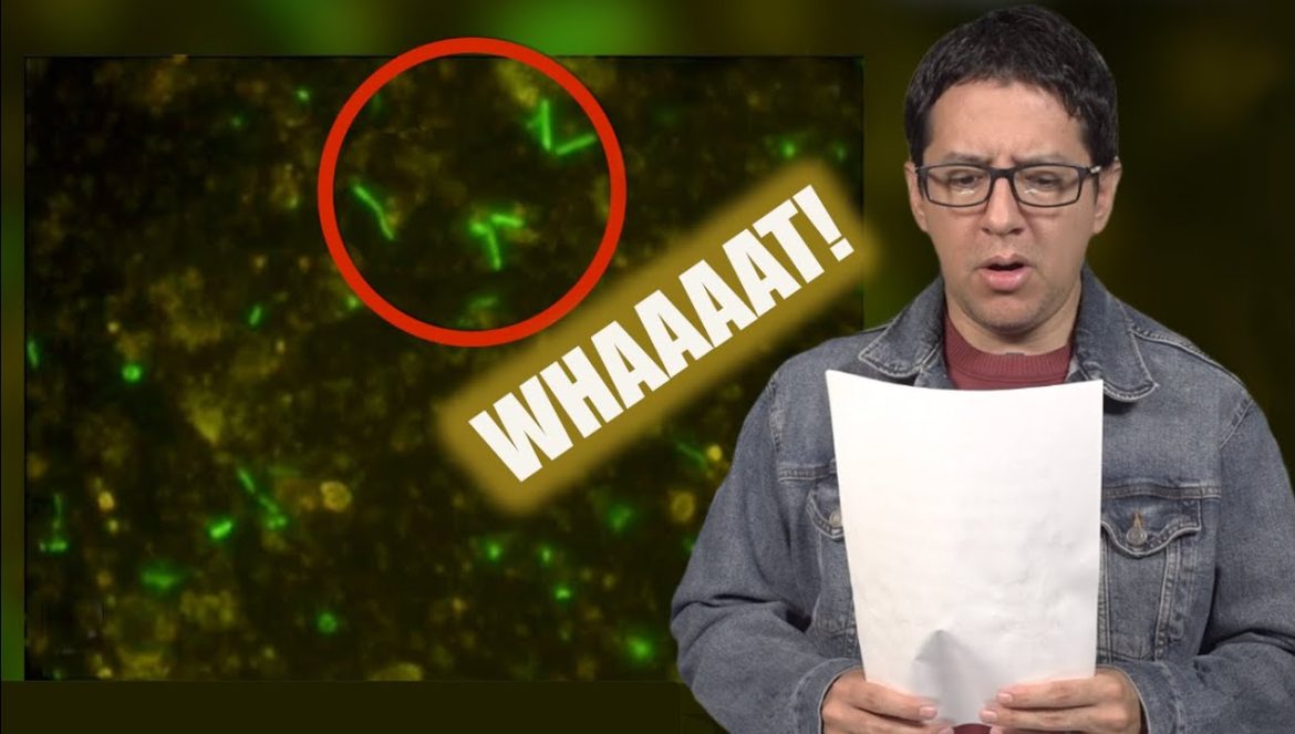 Encuentran Organismo que Tiene Más de 2 MIL MILLONES de AÑOS….10-15-2024