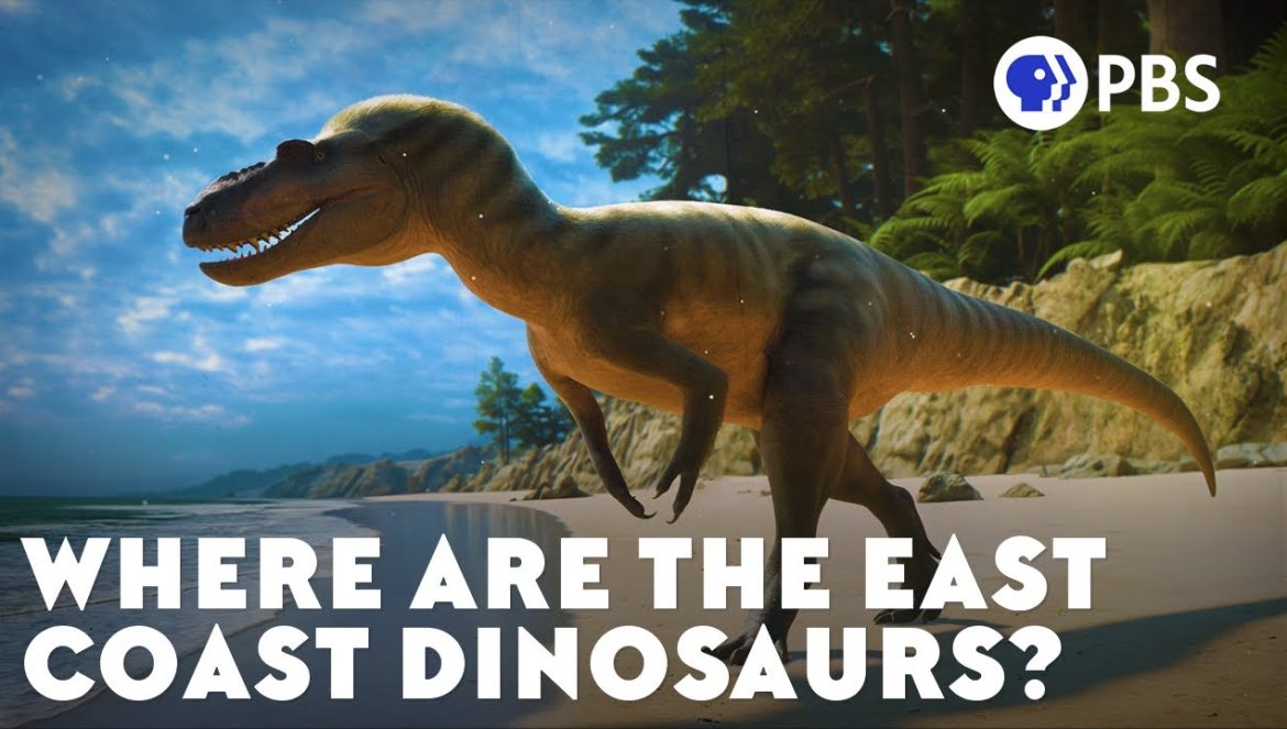 The Dinosaurs That Evolution Forgot….10-22-2024