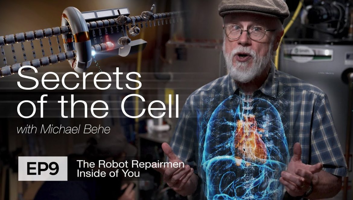 The Robot Repairmen Inside You (Secrets of the Cell, Ep. 9 feat. biologist Michael Behe)….10-15-2024