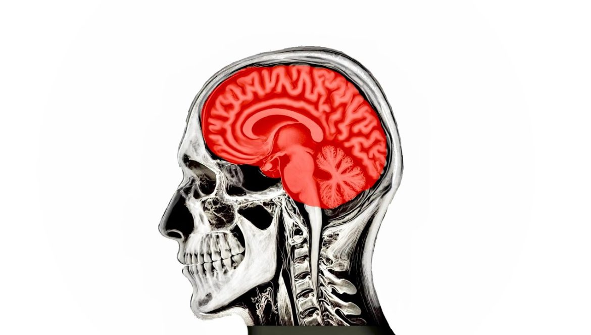 TIKTOK Está Causando Una PSICOSIS Masiva….09-08-2024