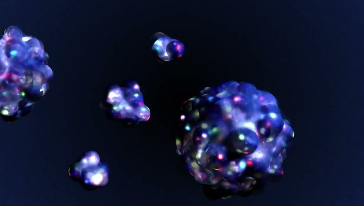 Visualizing the Nucleus….10-23-2024