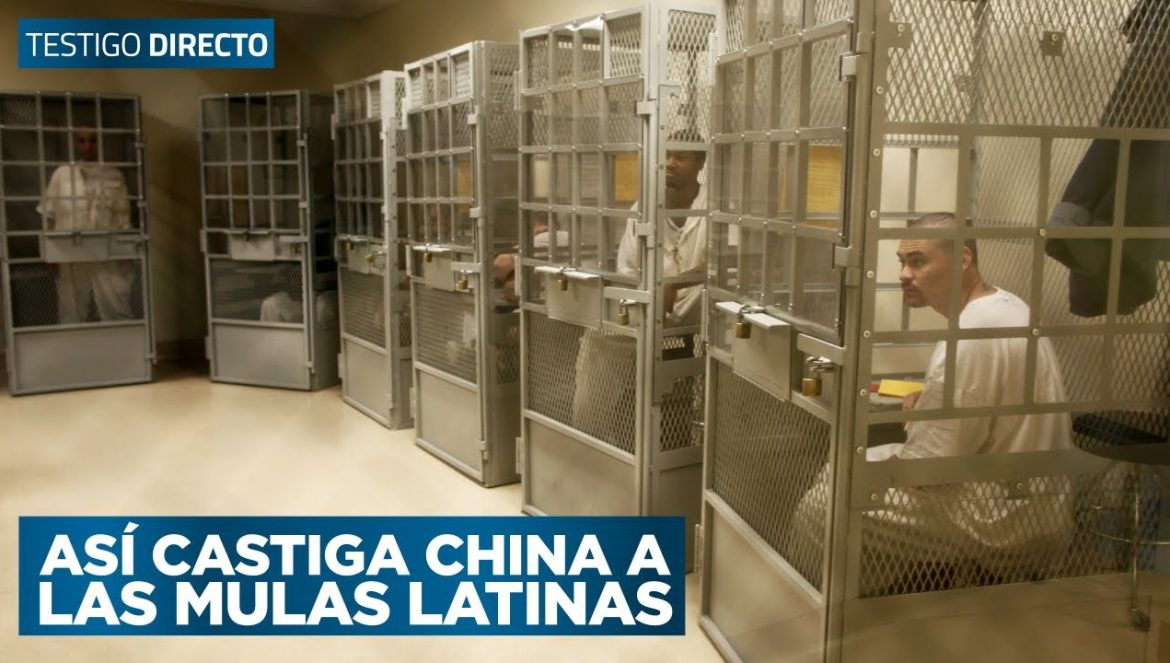 Cadena perpetua y pena de muerte: así castiga China en su país a mulas latinas….08-05-2022
