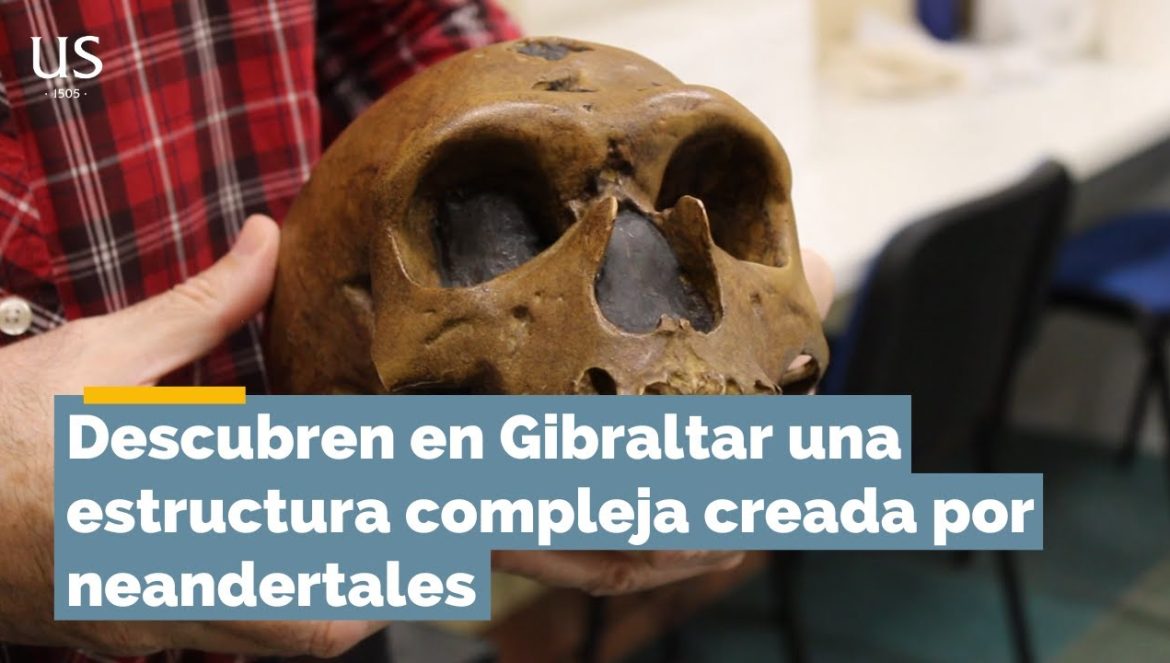 Descubren en Gibraltar una estructura compleja creada por neandertales….11-19-2024