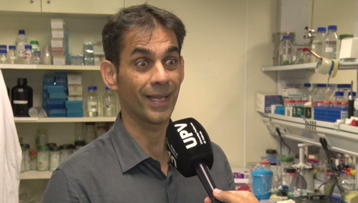 Descubren una nueva entidad biológica que habita en el cuerpo humano….10-31-2024