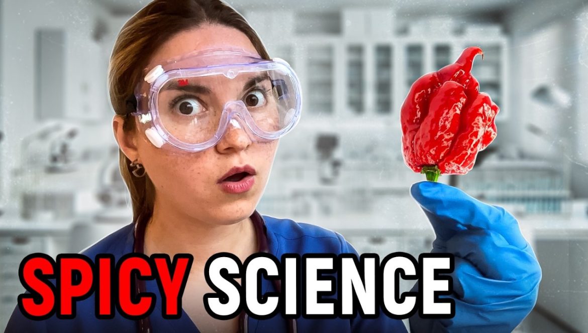 INTERNAL ORGANS Affected By Spicy Foods: Doctor Explains….10-19-2024