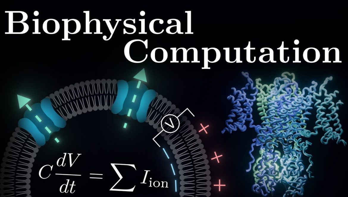 The Core Equation Of Neuroscience….11-01-2024