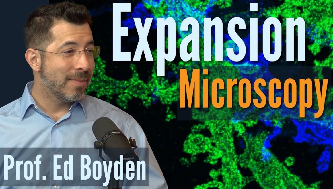 What is Expansion Microscopy? Innovative technology that reveals nature’s hidden secrets….11-11-2024