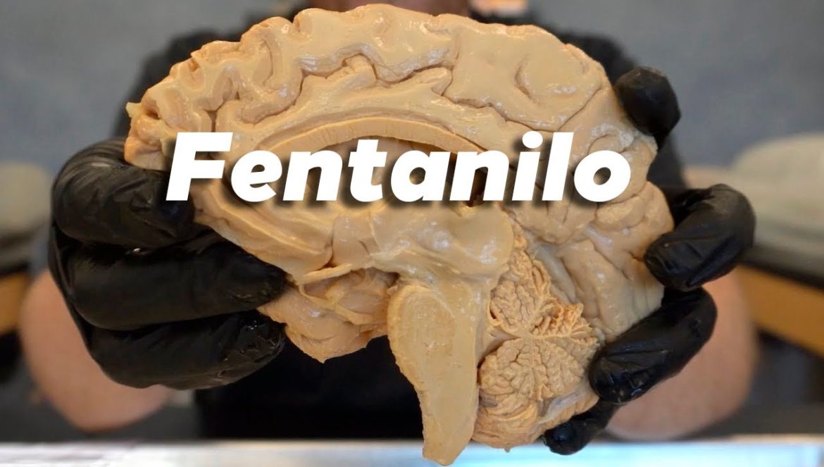 ¿Por qué el FENTANILO es INCREÍBLEMENTE peligroso?….08-28-2023