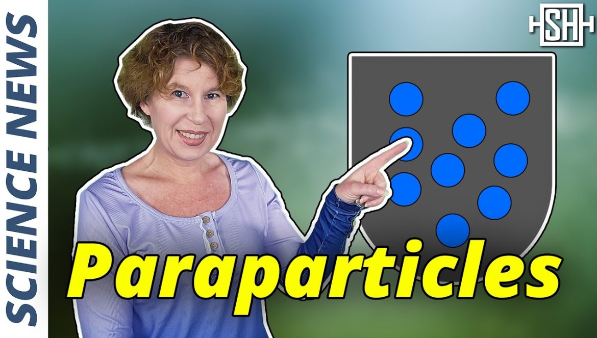 There’s a Third Type of Particle and We Never Knew….01-21-2025