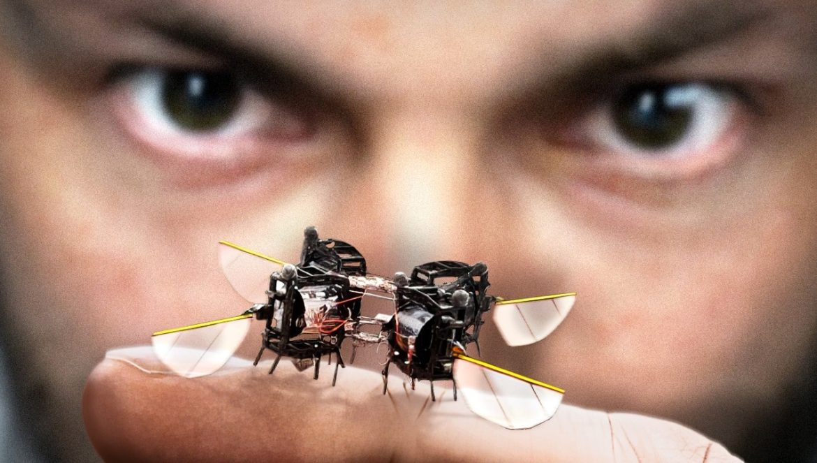 Why Are Scientists Making Robot Insects?….01-21-2025