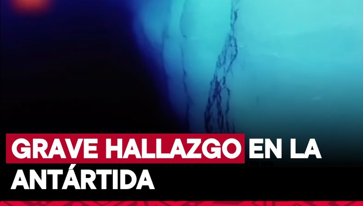 Científicos españoles hallan una “bomba para el clima” en la Antártida….02-16-2025