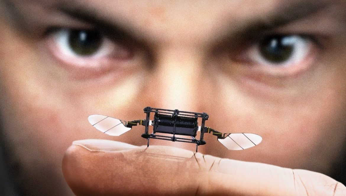 ¿Por Qué MIT Está Haciendo Insectos Robots?….02-26-2025