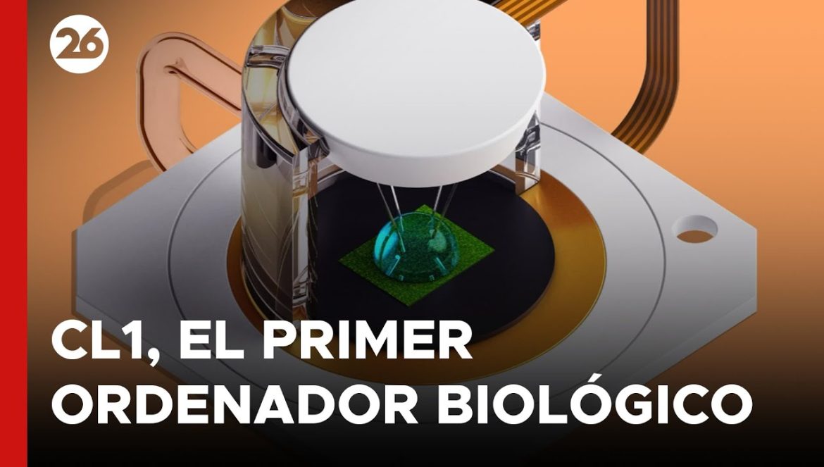 CL1, el primer ordenador biológico que integra neuronas cultivadas….03-05-2025