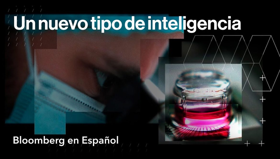 El papel de las células cerebrales humanas en el futuro de la IA….04-12-2025