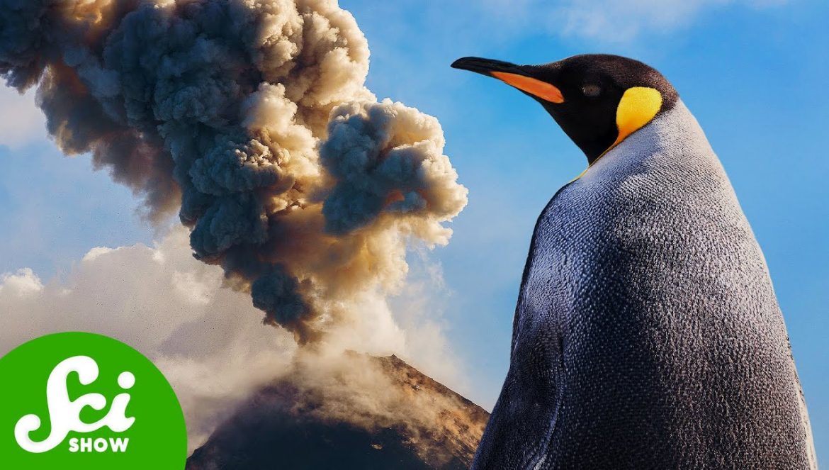 Antarctica’s Hidden Volcanoes are About to be a Problem….05-20-2025