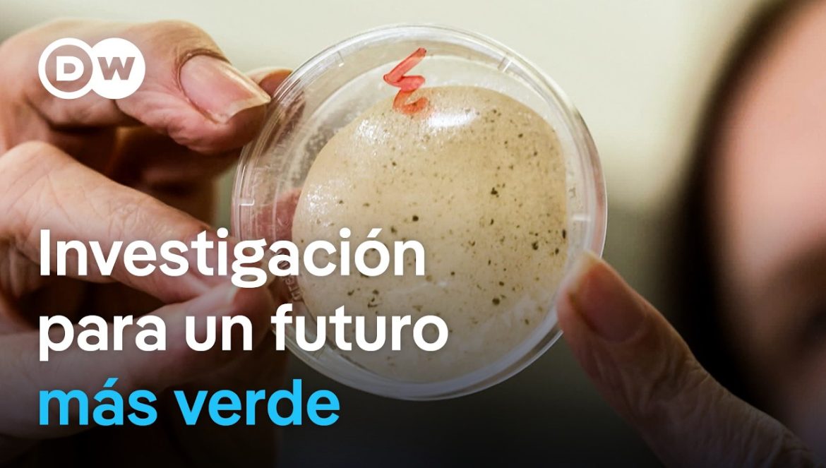 Bioplástico: Innovaciones contra el cambio climático….04-28-2025