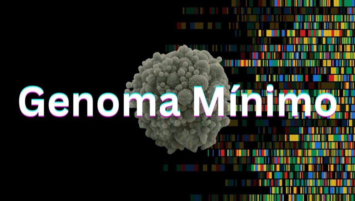 El Enigma del Genoma Mínimo….05-23-2025