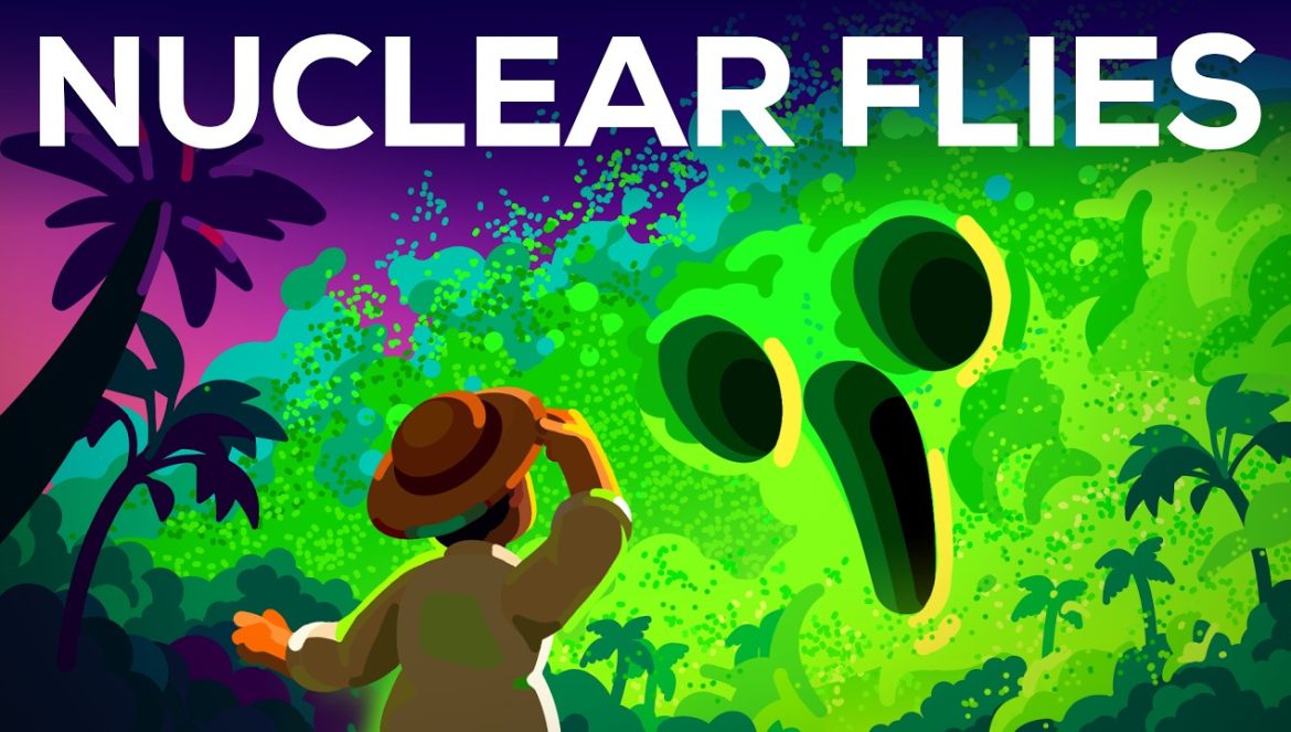 How Nuclear Flies Protect You from Flesh-Eating Parasites….06-03-2025